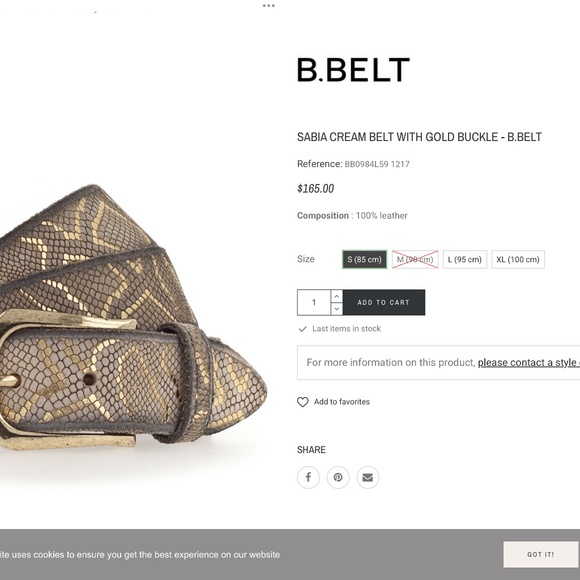B. BELT HANDCRAFTED LEATHER SABIA BELT TAUPE / GOLD main image 5
